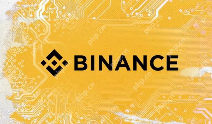 binance安全验证器怎么用 - 菜鸟下载