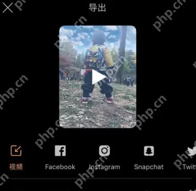 pixaloop怎么保存图片？保存图片的方法说明