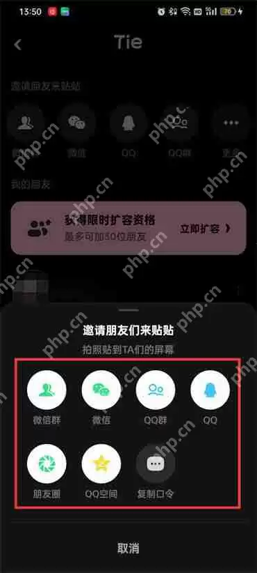 贴贴怎么扩充好友