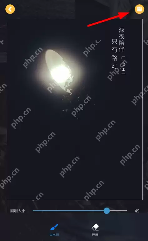 去水印大师怎么用? 去水印大师使用方法详解