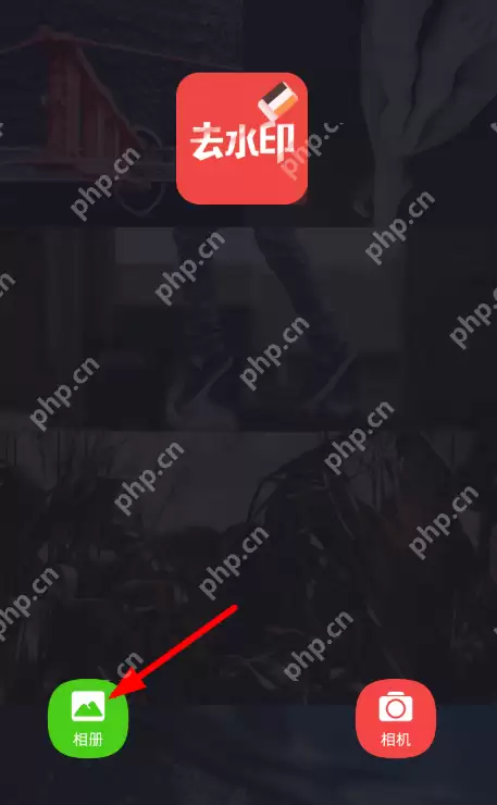 去水印大师怎么用? 去水印大师使用方法详解