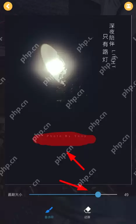 去水印大师怎么用? 去水印大师使用方法详解