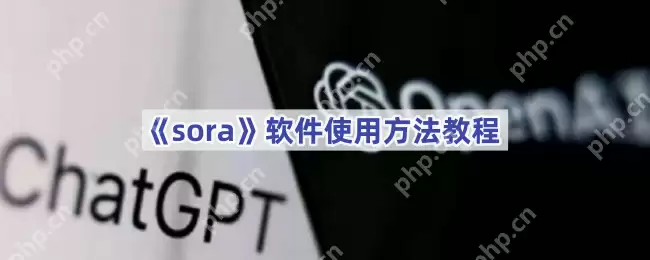 《sora》软件使用方法教程