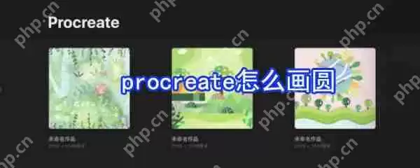 procreate如何画圆_procreate画圆流程详解