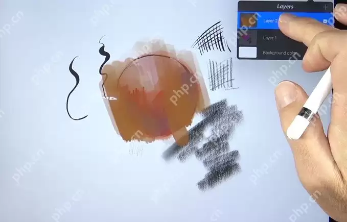procreate如何画圆_procreate画圆流程详解