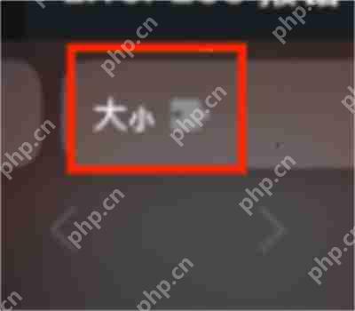 Safari怎么管理扩展