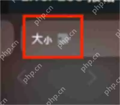 Safari怎么管理扩展