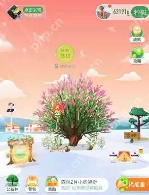 蚂蚁森林红柳皮肤怎么获得