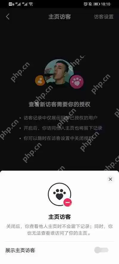 抖音主页访客记录是默认打开的吗