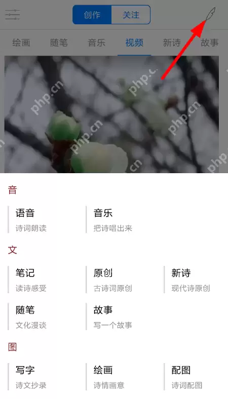 西窗烛怎么发布原创作品？发布原创作品的流程分享