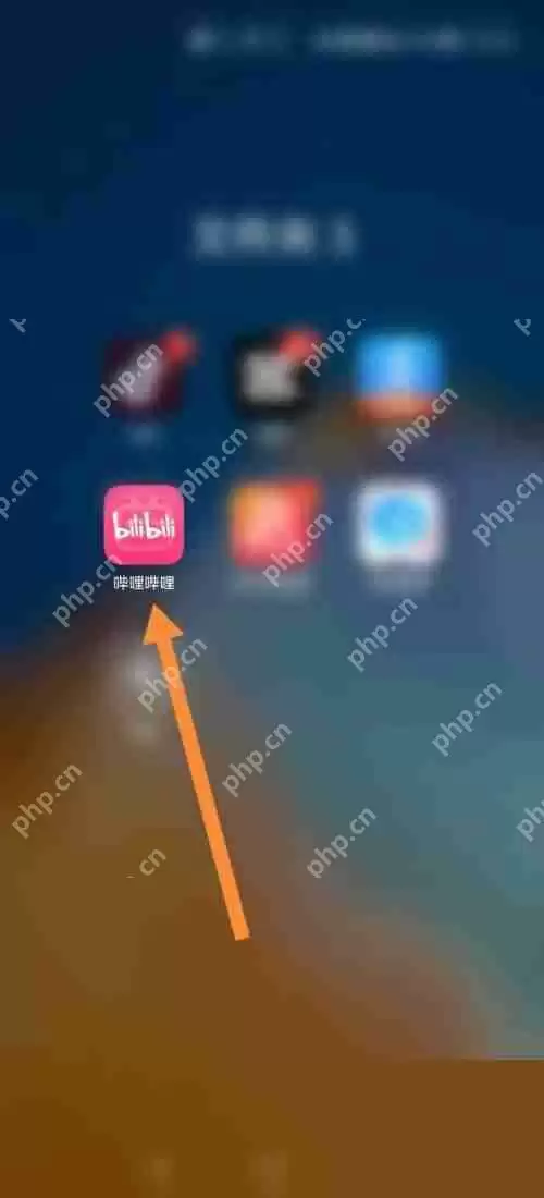 哔哩哔哩数据中心怎么查看