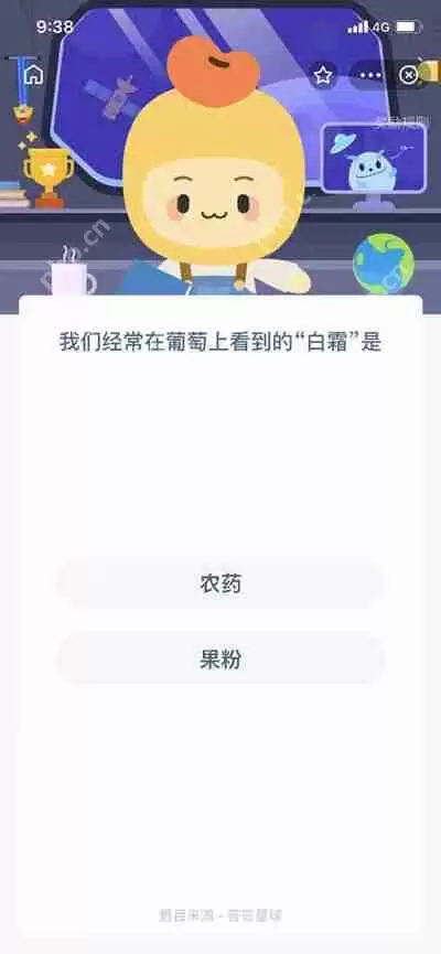 葡萄上结白霜怎么回事