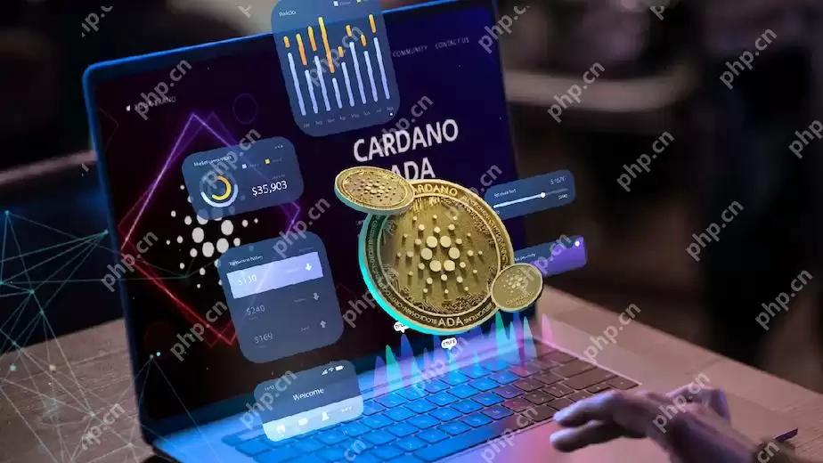 币圈长线和短线的区别 - 菜鸟下载