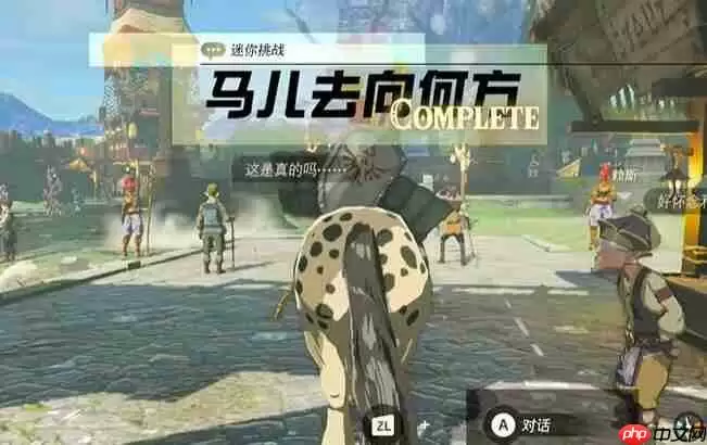 塞尔达中央海拉鲁马儿去向何方怎么过-迷你挑战马儿去向何方攻略