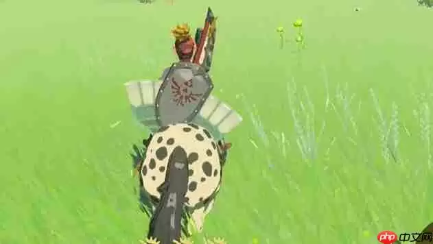 塞尔达中央海拉鲁马儿去向何方怎么过-迷你挑战马儿去向何方攻略