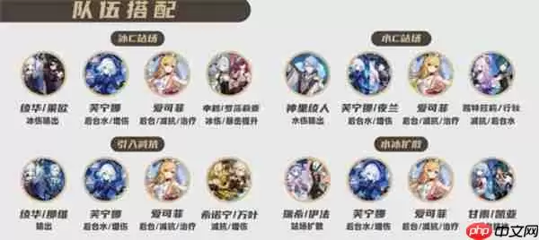 原神爱可菲全面培养指南:装备选择与阵容搭配技巧全解析