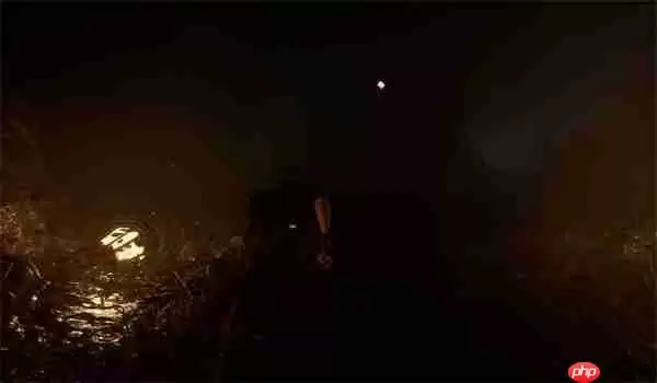 光与影33号远征队古斯塔夫唱片位置详解 石涛崖玄武岩浪全流程攻略