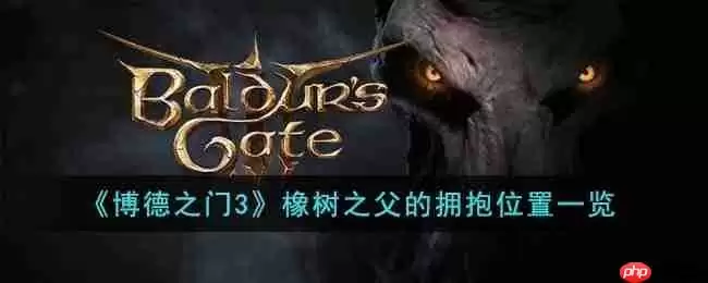 博德之门3橡树之父的拥抱在哪