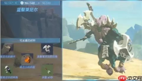 王国之泪莱尼尔的肝脏在哪-莱尼尔的肝脏位置一览