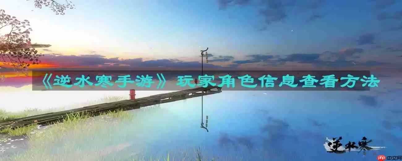 逆水寒手游玩家角色信息怎么查看-玩家角色信息查看方法