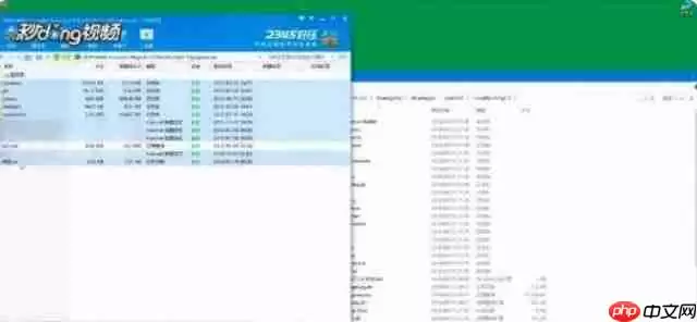 buckshot roulette汉化补丁包在哪-铅弹轮盘汉化补丁安装教程