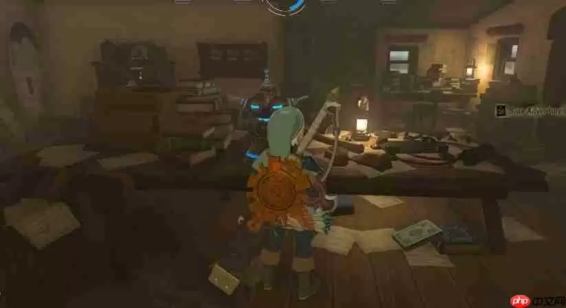 塞尔达传说王国之泪自己专属的海拉鲁图鉴任务完成方法