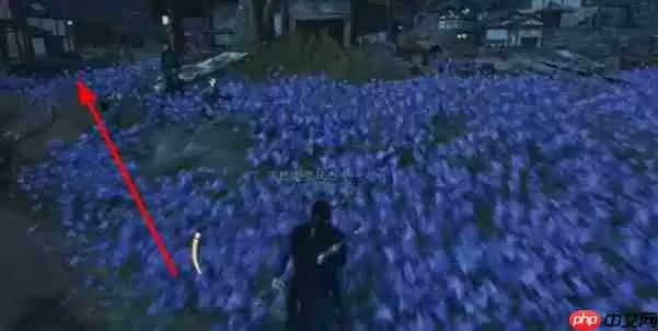 燕云十六声慈心镇第三次佛光任务完成方法