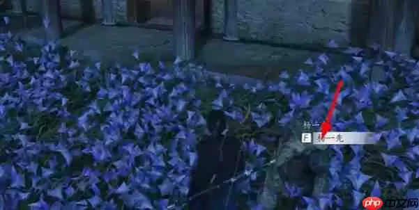 燕云十六声慈心镇第三次佛光任务完成方法