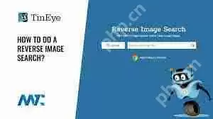 如何进入tineye网页版