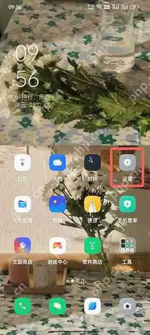 coloros12怎么看运行内存
