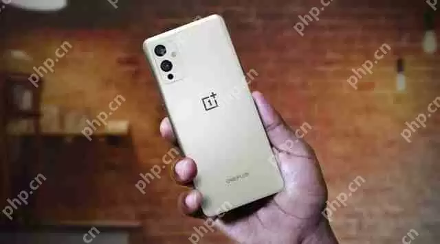 一加9Pro和OPPOfindx3哪个好