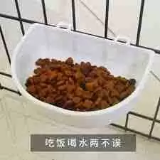 12306宠物托运需要什么手续
