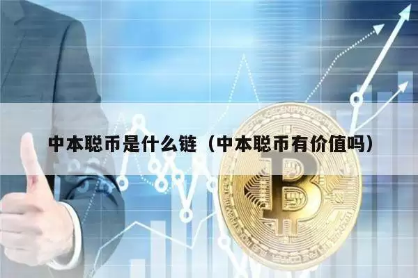 中本聪币是什么链(中本聪币有价值吗)-第1张图片-本站