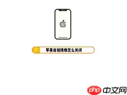 苹果手机相机怎么取消镜像模式