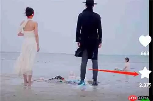 河马剧场官网入口是什么 河马剧场官网入口网页版