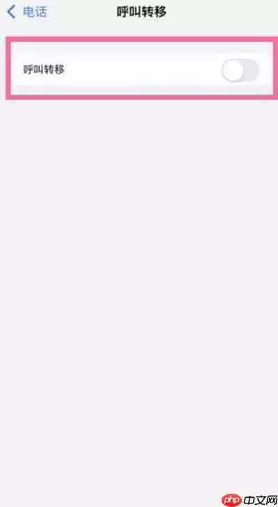 苹果手机怎么开启电话呼叫转移功能