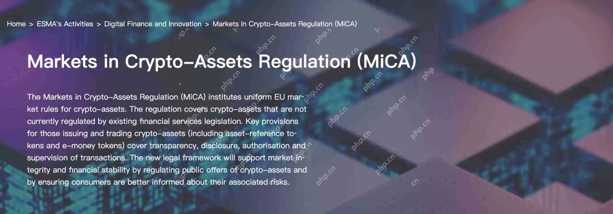 什么是Yield Basis币?YB币未来展望如何?代币经济学、优势、特点解读