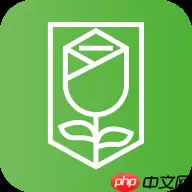 打车有优惠的软件有哪些