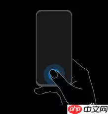 荣耀50的指纹在哪里