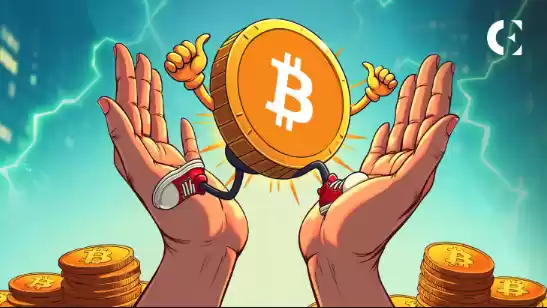 怎么买BTC？如何购买比特币BTC新手完整指南 - 菜鸟下载