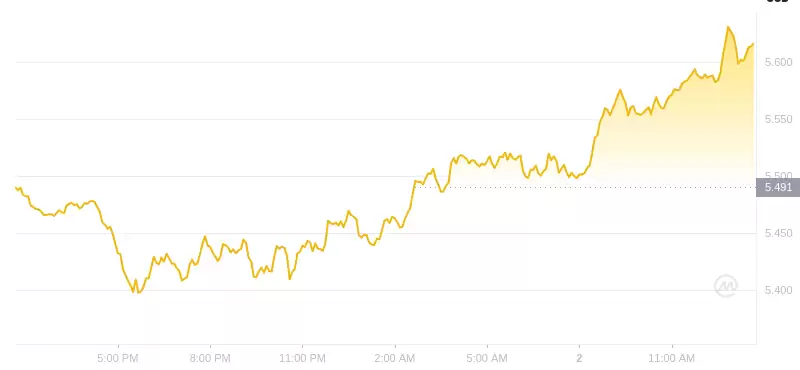 2025年01月02日ton币价格