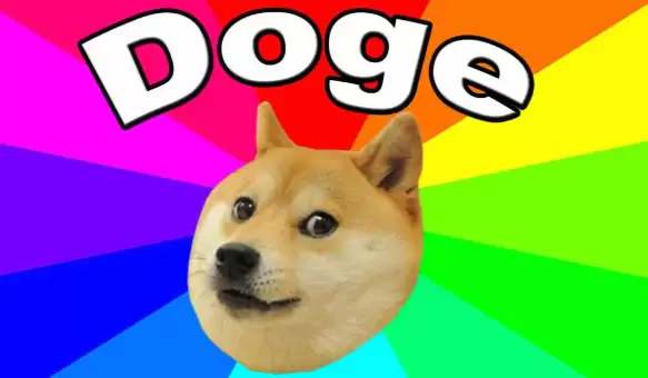 狗狗币现在多少钱一个？狗狗币购买平台有哪些？ - 菜鸟下载