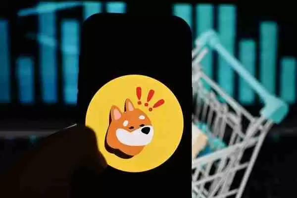 Bonk价格行动在5月来回来回，现在的加密货币现在已经回到了它开始的地方