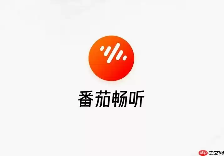 番茄畅听能月入过千吗?看看别人怎么做!