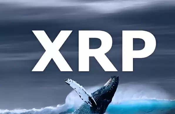 XRP ETF获批的可能性大吗 XRP ETF获批可能性分析