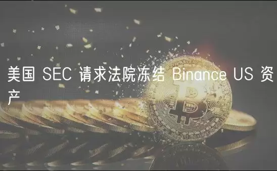 美国 SEC 请求法院冻结 Binance US 资产-第1张图片-本站