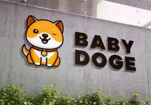 BABYDOGE币种介绍-第1张图片-本站