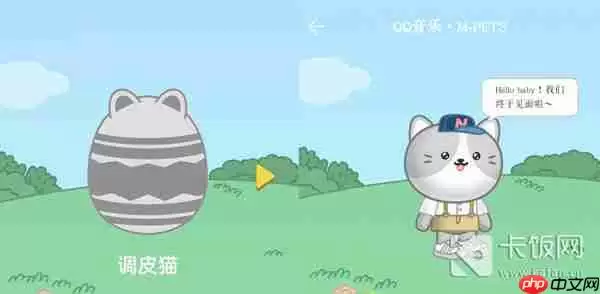 QQ音乐宠物样子介绍