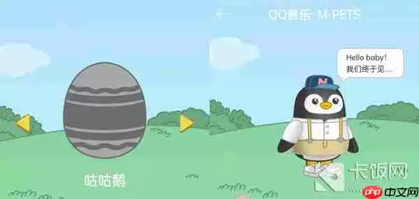 QQ音乐宠物样子介绍