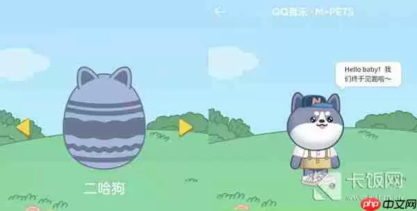 QQ音乐宠物样子介绍